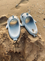 The Original Shark Slides