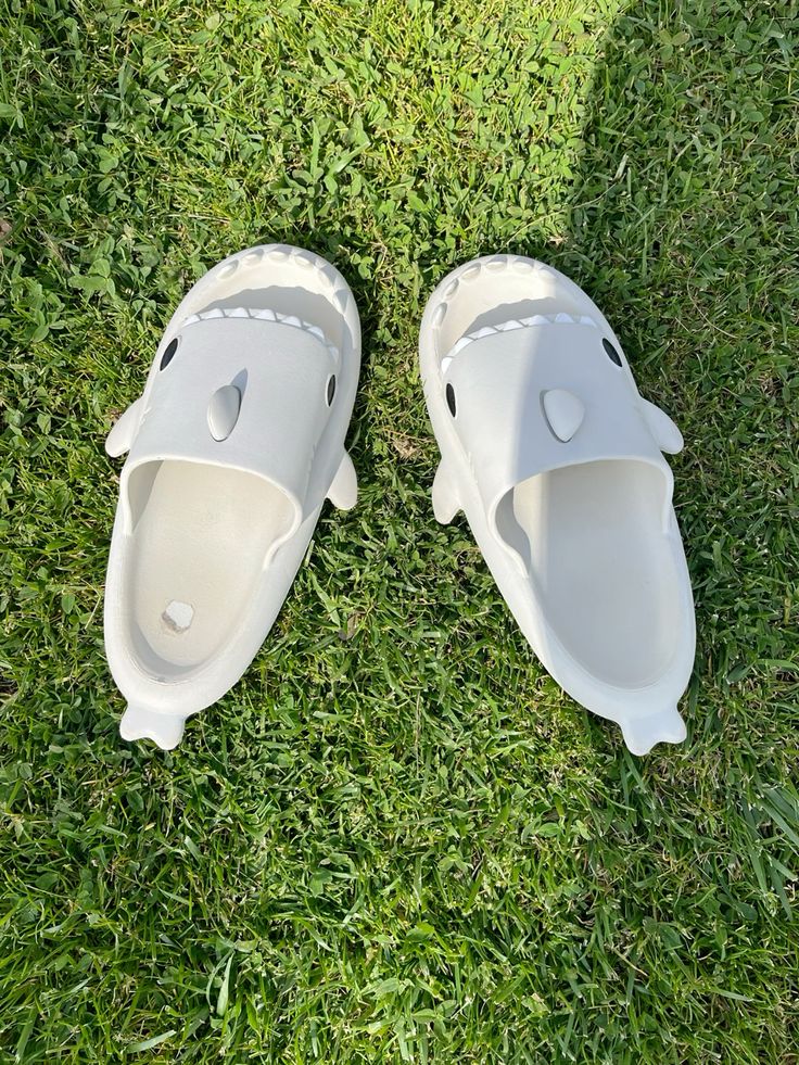 The Original Shark Slides